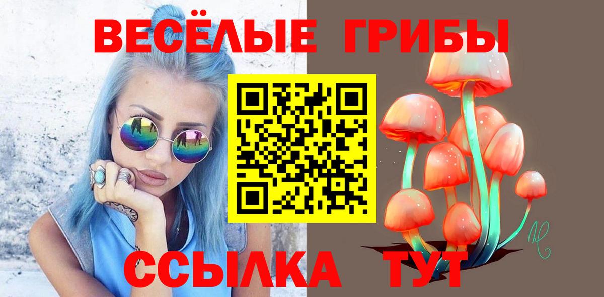 Галлюциногенные грибы мухоморы  Вход с VPN  Псилоцибиновые грибы Psilocybine cubensis  Каменка 
